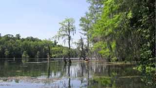 Merritts Mill Pond [upl. by Colt251]