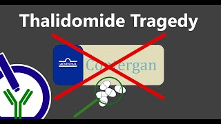 The Thalidomide Scandal A Drug That Harmed 10000 Babies—And Changed Medicine Forever [upl. by Eat]