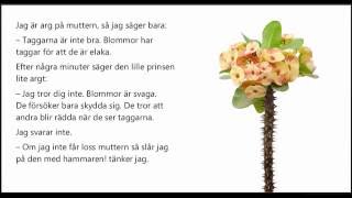 Ljudbok Den lille prinsen kapitel 7 Prinsens blomma [upl. by Ekard]