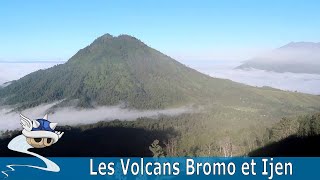 Ascensions des Volcans Bromo et Kawa Ijen en Indonésie  🇮🇩 [upl. by Udella379]