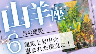 山羊座♑️2024年6月の運勢🌈運気は絶好調✨✨豊かに開運する１ヶ月💖癒しと気付きのタロット占い🔮 [upl. by Eidnil]