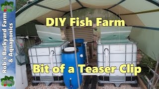 DIY Fish farm for the back yard bit of a teaser clip [upl. by Atibat]