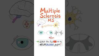 Multiple Sclerosis MS Demyelinating Autoimmune Disease  Part 2…biology science neuro anatomy [upl. by Nidak]