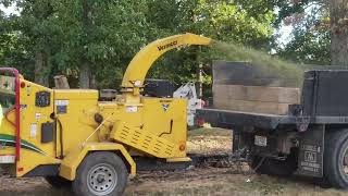 Homesteading  Removing massive trees and pouring patios [upl. by Ayat]