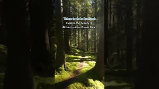 Bringing you Glenbranter Forest in Argyll Scotland 🌲 📽 IGflyoverscotland VisitScotland Shorts [upl. by Cardon]