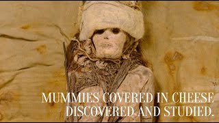 Mummies covered in cheese discovered and studied [upl. by Magavern]