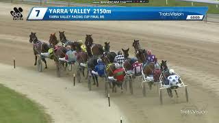 2024 Yarra Valley Pacing Cup [upl. by Novek]