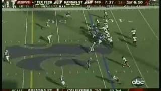 WR Michael Crabtree Highlights Texas Tech 2008 [upl. by Aicinat]