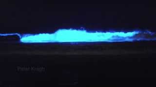 Bioluminescent waves in San Diego Red Tide amp Blue Waves [upl. by Herbert641]