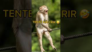 TENTE NÃO RIR 🤣memes humor funny melhoresmemes tentenãorir tentenãorir [upl. by Okihcas]