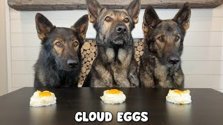 3 German Shepherds Review Foods [upl. by Alig447]