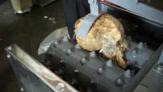 COCONUT HUSK REMOVER Dehusking MACHINE [upl. by Rosenberg147]