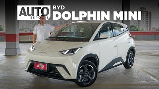 BYD DOLPHIN MINI VAI ACABAR COM HB20 POLO E ONIX [upl. by Odlo]