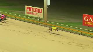 Rockhampton30102024Race8 [upl. by Eadnus256]