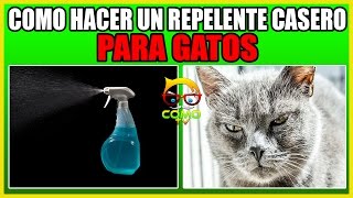 🙀 COMO HACER UN REPELENTE CASERO PARA GATOS [upl. by Terra]