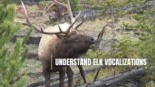 WELCOME TO ELK CALLING ACADEMY [upl. by Berk]