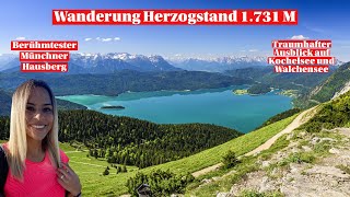 Herzogstand Wanderung  Ausblick Walchensee  Einer der schönsten Bergtouren in d Bayerischen Alpen [upl. by Anerbas]