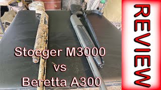 Beretta A300 VS Stoeger M3000  Waterfowl Shotgun Review [upl. by Aruam]