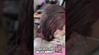 Bigen Speedy Hair Color 855 Burgundy Brown [upl. by Ecnav]