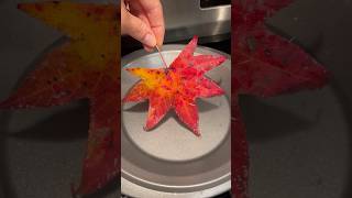 How to Preserve Fall Leaves fallleaves naturecrafts [upl. by Hayimas]