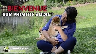 Présentation Chaine Primitif Addict [upl. by Spitzer]