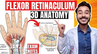 flexor retinaculum anatomy 3d  flexor retinaculum of hand anatomy  anatomy of flexor retinaculum [upl. by Eob840]