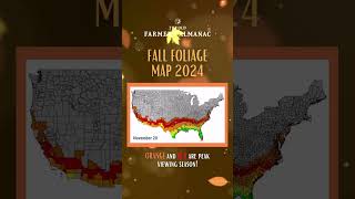 Fall Foliage Map 2024 [upl. by Scholz]