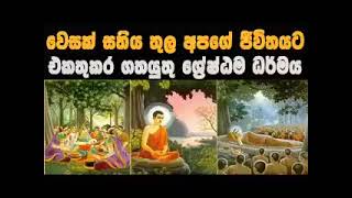 වෙසක් සතිය තුල දැකිය යුතු ශේෂ්ඨම ධර්මයMaha Rahathun Wedi Maga Osse [upl. by Tilly]