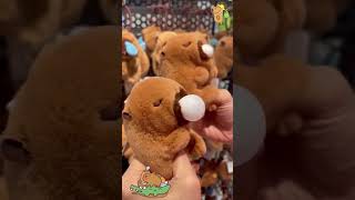 Capybara Playtime Toytastic Adventures in Capybara Store capybara linkinbio [upl. by Nirro]