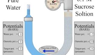 osmometer [upl. by Names]