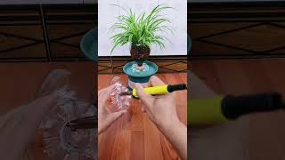 Flower garden planting flower in pot plastic amazing so beautiful garden flower diy gardenplants [upl. by Ailemor905]