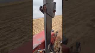 plough ploughing plough farmer farming newholland newvideo osmanbey subscribe landwirtin [upl. by Micky]