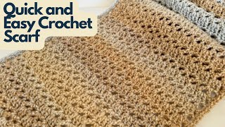 Quick and Easy Crochet Cozy Scarf Two Row Repeat Tutorial [upl. by Fasano147]