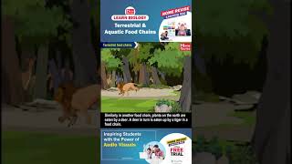 Terrestrial and aquatic food chains  Learn Biology with Home Revise [upl. by Gustie]