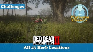 All 43 Herb Locations Herbalist Challenge 9  Red Dead Redemeption 2 [upl. by Iznek376]