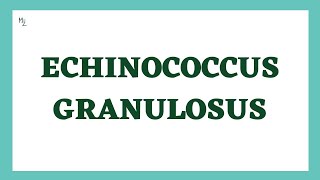 Echinococcus granulosus life cycle [upl. by Hsac]