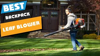 Top 10 Best Backpack Leaf Blower 2024 [upl. by Steinman]