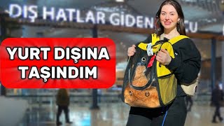 YURT DIŞINA TAŞINDIM 🔥 HANGİ ÜLKE [upl. by Ahsinet]