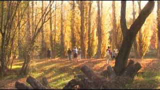 Alpine Autumn  Australia [upl. by Hampton743]