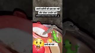 chhipkali 🦎🦎🦎🦎 vairalvideo shortvideo subscribe Apnebartano ko dhankhke rakho video ko sher [upl. by Eelrahs554]