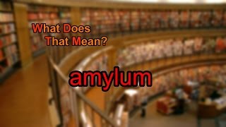 What does amylum mean [upl. by Juliana540]