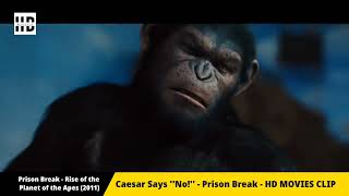 Caesar Says quotNoquot  Prison Break Scene  zoo breakout  Rise of the Planet of the Apes 2011 [upl. by Monaco]