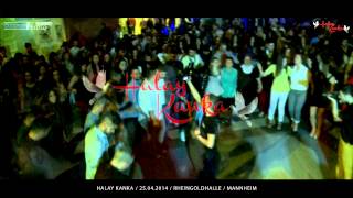 Halay Kanka  Grup DERDO  25042014  Mannheim  Özlem Foto Video® [upl. by Clay]