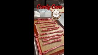 Making Candy Canes with Logan Sweet Memories amp Holiday Fun [upl. by Mihar]