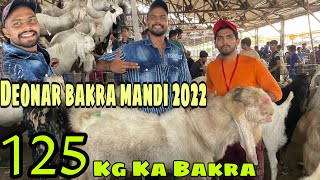 Mumbai’s Biggest Bakra Mandi  Deonar Bakra mandi 2022  RsV [upl. by Price]