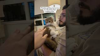 The side eye though 😹 catvideos catdaddy catdad funny funnycats catmom catshorts [upl. by Aruam]