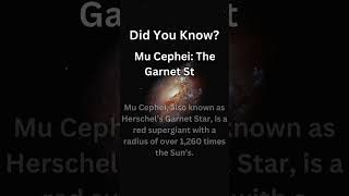 Mu Cephei The Garnet Star space cosmos spacefacts MuCephei GarnetStar Supergiant [upl. by Ania]