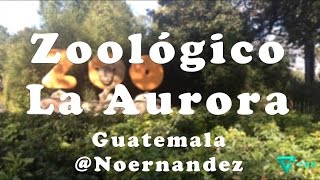 Increíble Viaje al Zoológico La Aurora Zoo Guatemala [upl. by Montana952]