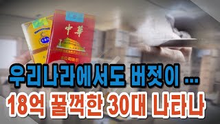 자막뉴스 아무담배 피우면 큰일납니다 이담배 꼭 확인하세요 [upl. by Enaoj142]