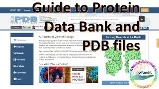 Basic Guide to Protein Data Bank and PDB files [upl. by Haleemaj]